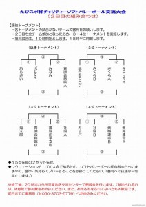 ２日目ソフトバレー